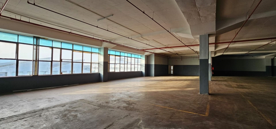 To Let commercial Property for Rent in Elsies River Industrial Western Cape